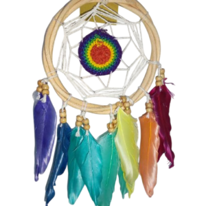 Dream Catcher Multi-color feathers
